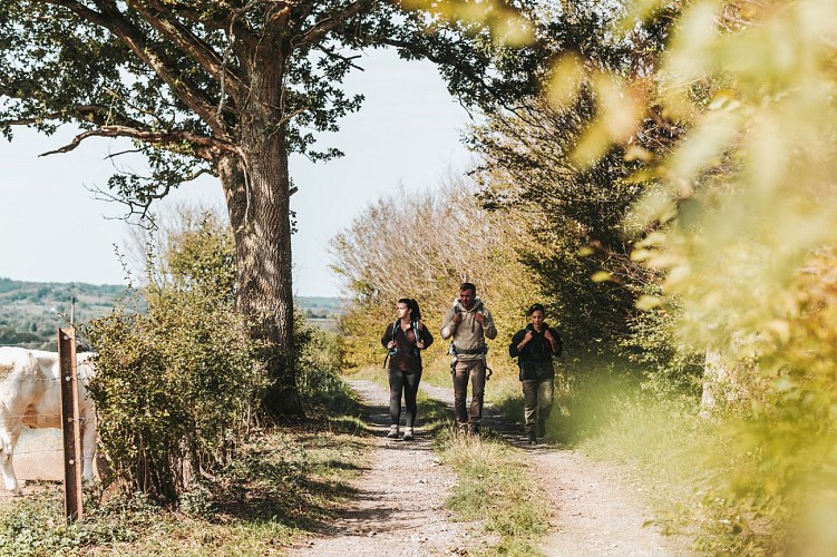 Randonneurs sur un chemin de campagne à Sivry-Rance