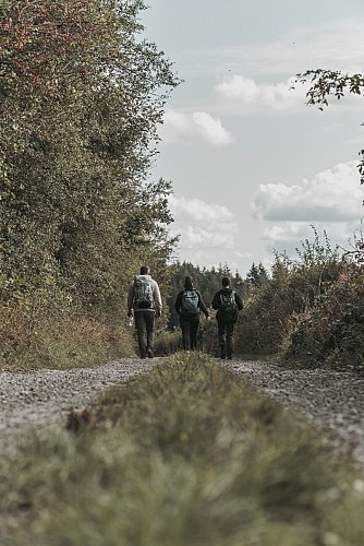 Hikers on a country side's road