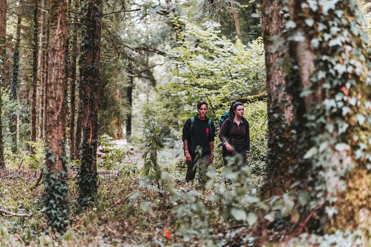 Wandelaars in het bos van Blaimont in Chimay