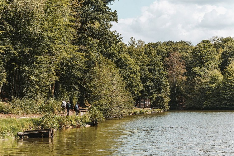 Hikers along the ponds of Ostenne in Sivry-Rance
