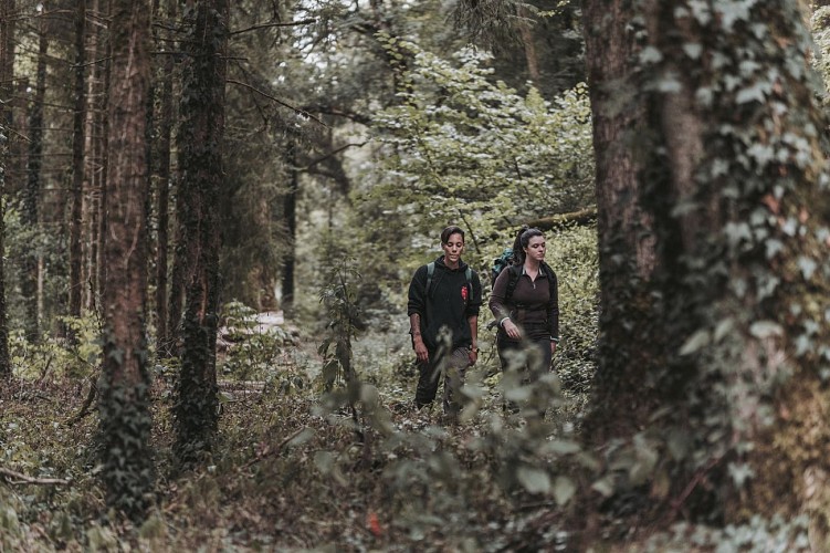 Wandelaars in de bossen
