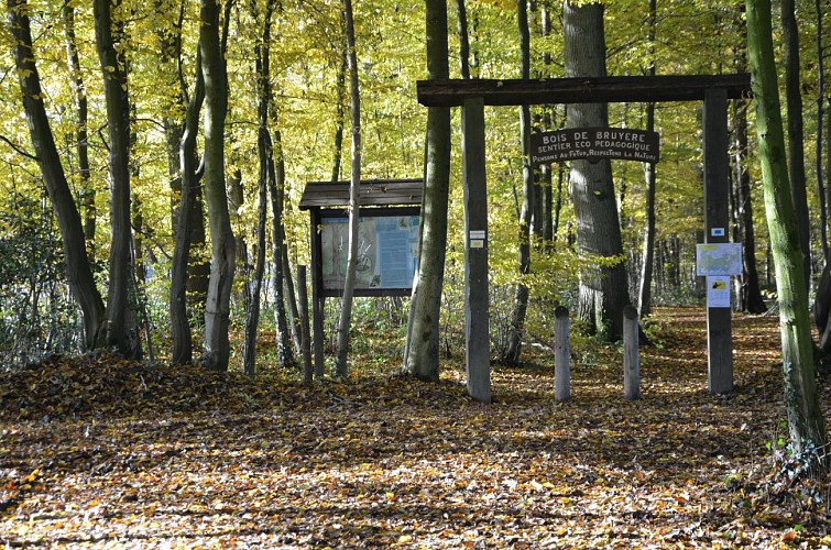 Bois de Bruyère in Sivry-Rance