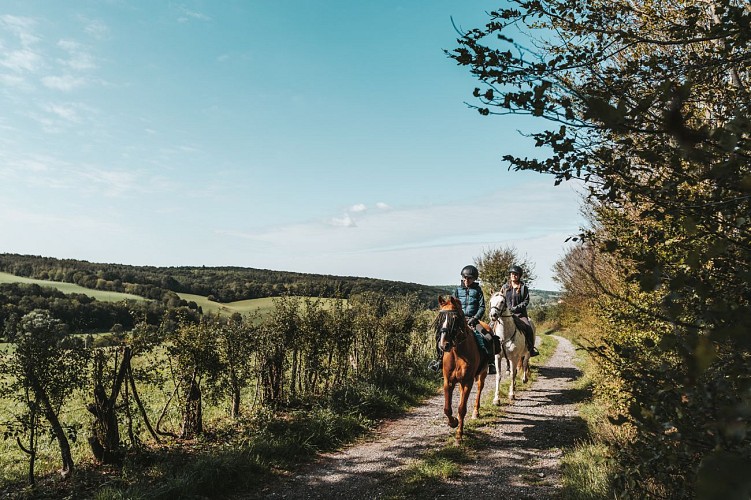 Cavaliers sur un chemin de campagne à Sivry-Rance