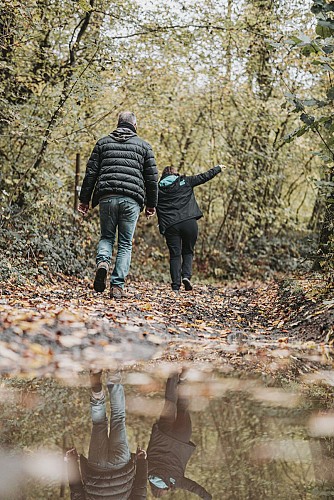 Promeneurs dans les bois à Sivry-Rance