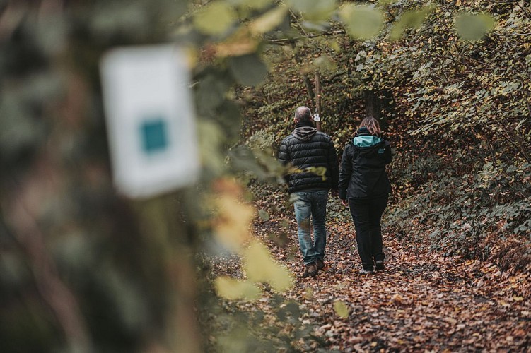 Wandelaars in de bossen in Sivry-Rance