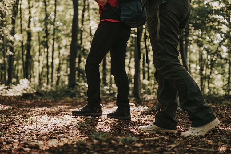 Randonnée dans les bois