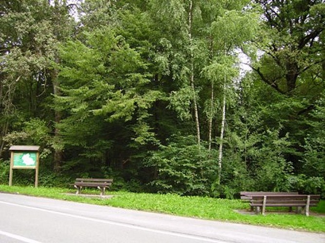 Vertrek van de wandeling in Momignies