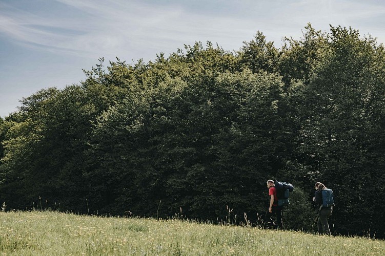 Wandelaars aan de rand van het bos