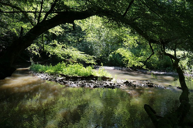 Bridge on the river in Doische