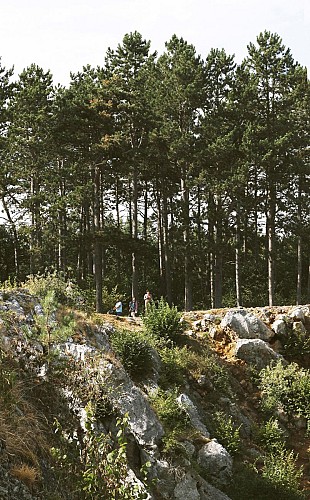 Calestienne landscape in Viroinval
