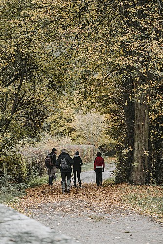 Promeneurs à Viroinval