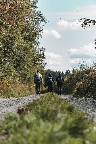 Wandelaars aan de rand van het bos in Viroinval
