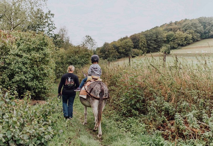 Rijden op een ezel bij Ezel & Co in Walcourt