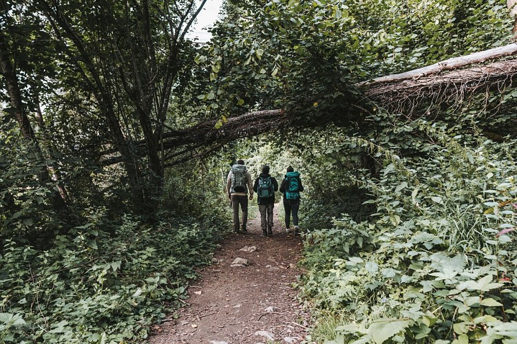Wandelaars op de Grote Doortocht in Chimay