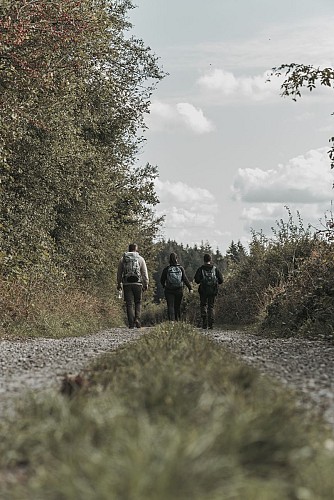 Fernwanderung von La Forêt du Pays de Chimay – Streckenabschnitt Sivry - Virelles