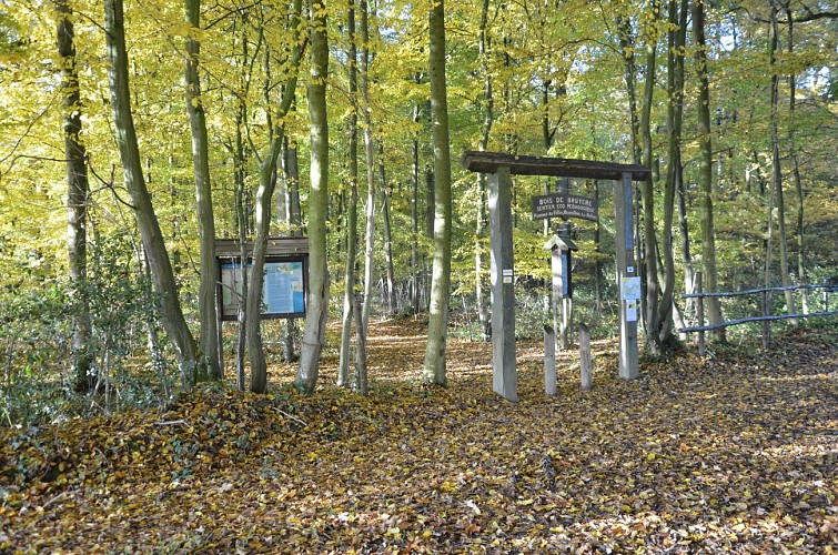 Bois de Bruyère in Sautin