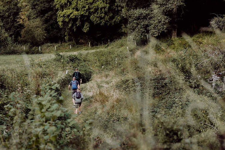 Randonneurs sur la Grande Traversée à Viroinval