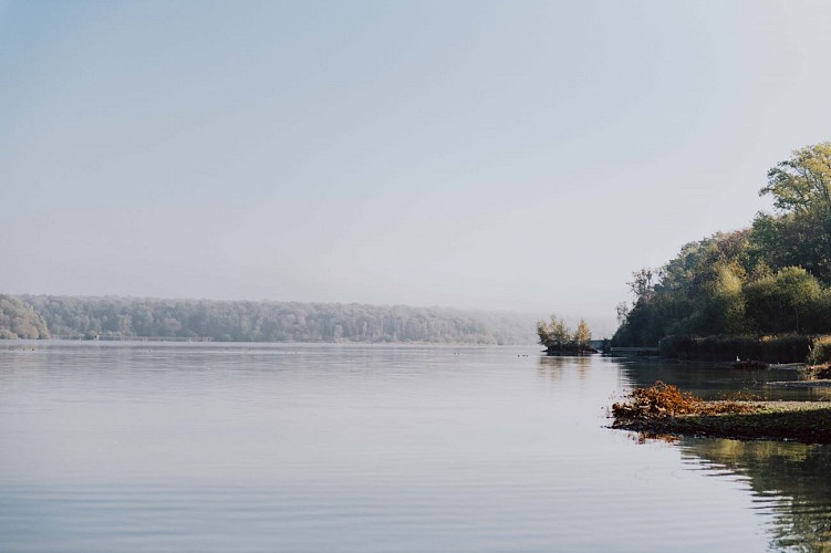 L'Etang de Virelles à Chimay