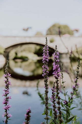 Brug over de Viroin in Viroinval