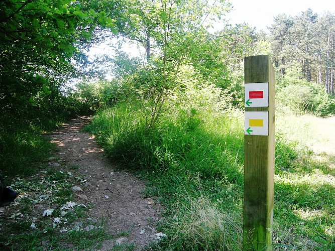 Bewegwijziging en polen van wandeling in Viroinval