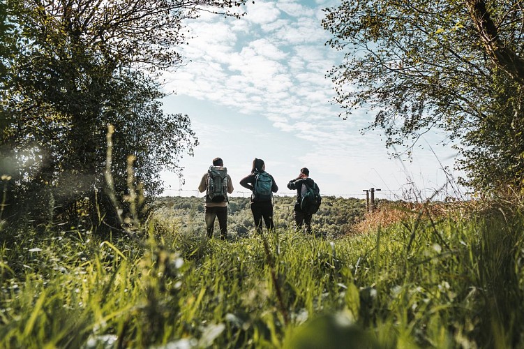 Wandelaars in Doische