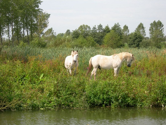 La réserve naturelle