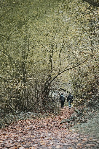 Hikers in the woods in Walcourt