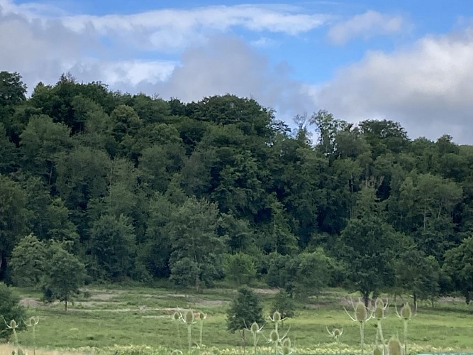 16. Le Camp romain (1)