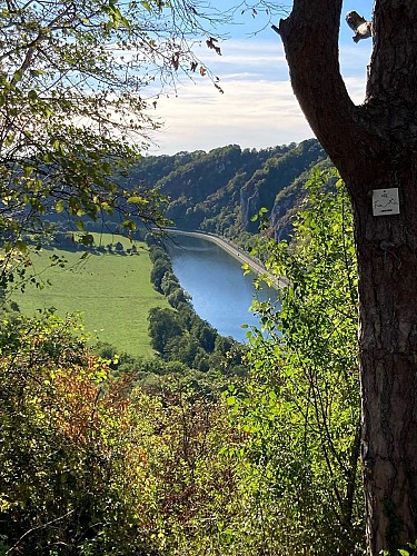 © Pascale Sandron - balades (2)