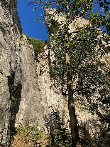 © Pascale Sandron - balades (6)