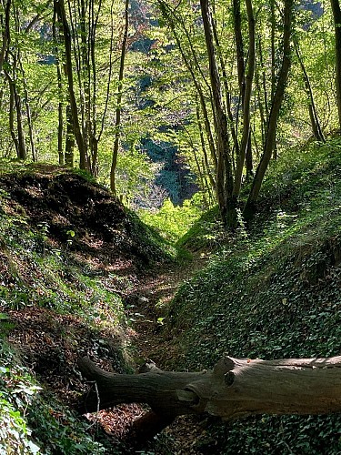 © Pascale Sandron - balades (1)