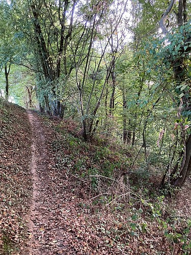 © Pascale Sandron - balades (4)