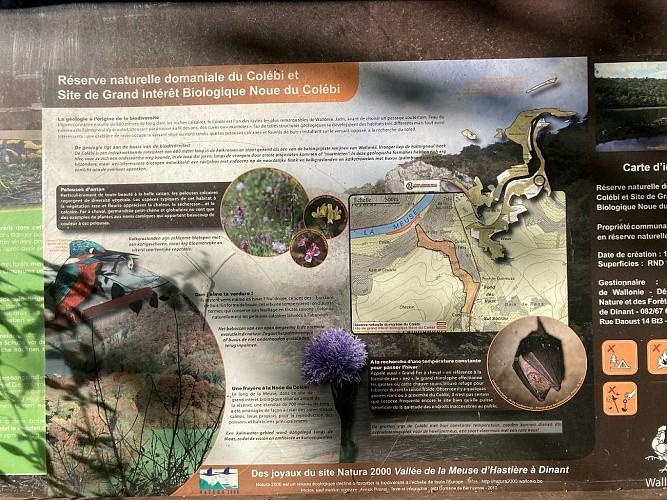 © Pascale Sandron - balades (8)