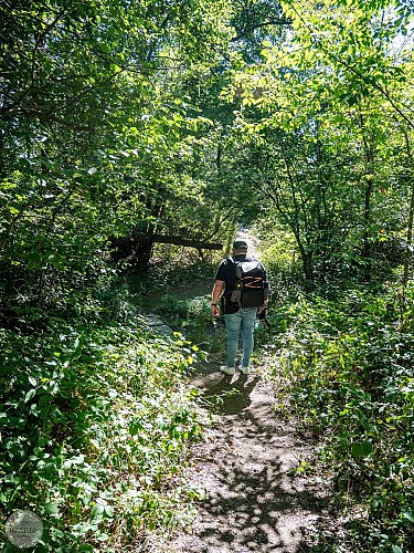 Heer (Hastière)-1-21