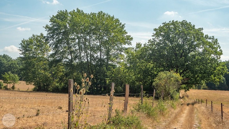 Heer (Hastière)-1-18