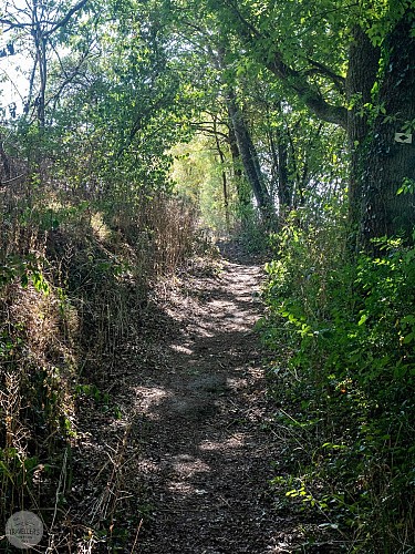 Heer (Hastière)-1-20