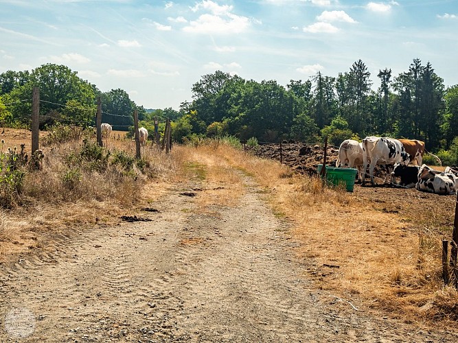 Heer (Hastière)-1-13