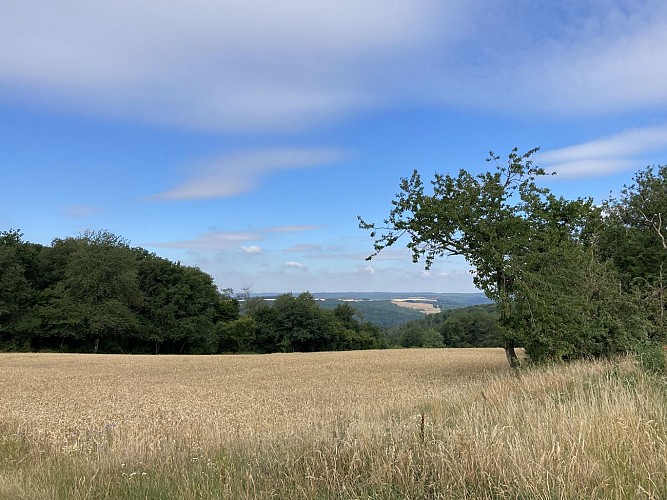 11. Promenade du Côré Monseu (3)