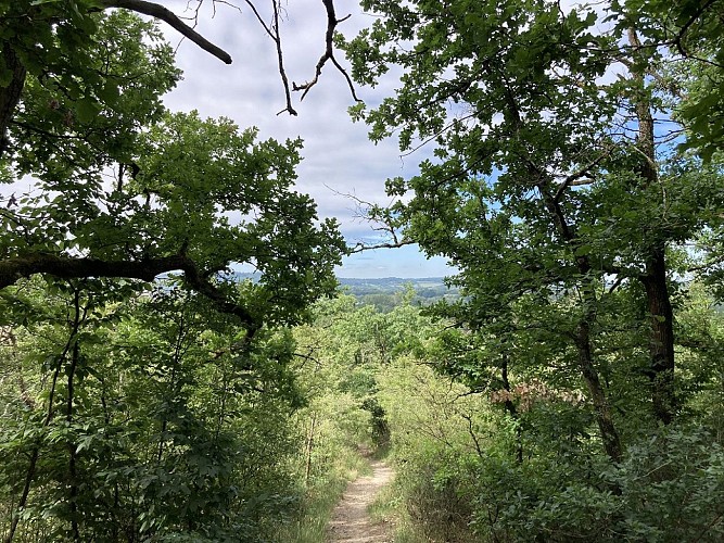 11. Promenade du Côré Monseu (1)