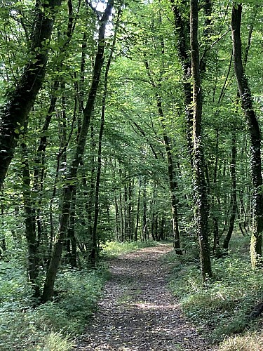 12. ¨Promenade des Bas-Prés (1)