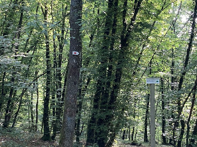 12. ¨Promenade des Bas-Prés (2)