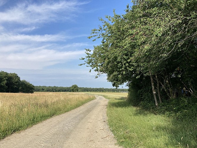 14.Promenade du Houria (1)