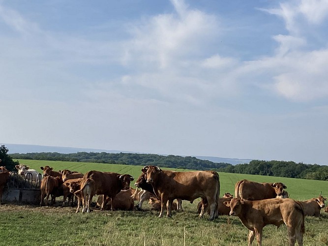 14.Promenade du Houria (3)