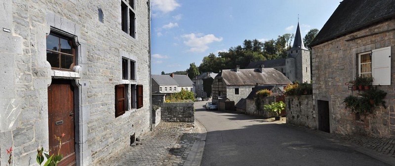 CELLES Copyright Francois Delfosse (2)