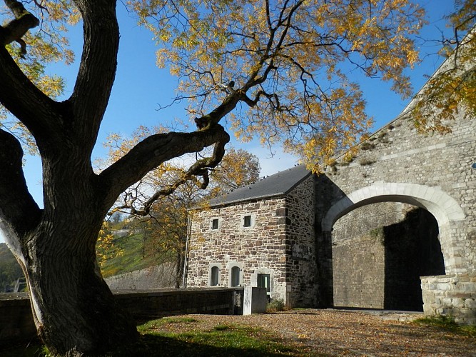 (c)S.GILLAIN Citadelle (Namur) 2