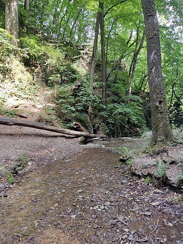 IMG_20220706_112414_1