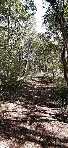 118820065_356758849049372_6203485941644574138_n