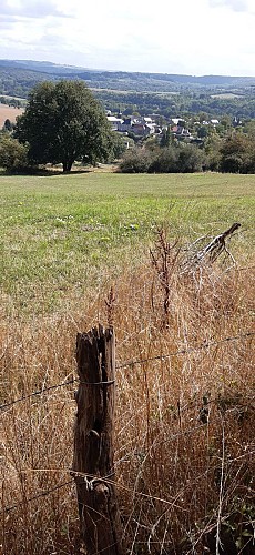 118836879_1000162273765438_6024767388097026794_n