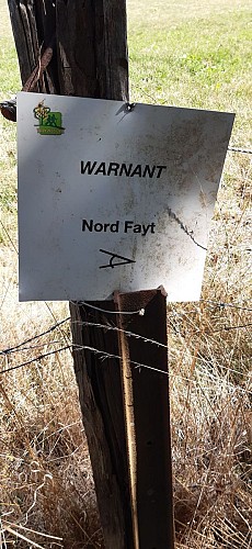 118851323_1149295352122029_7917633672652404658_n