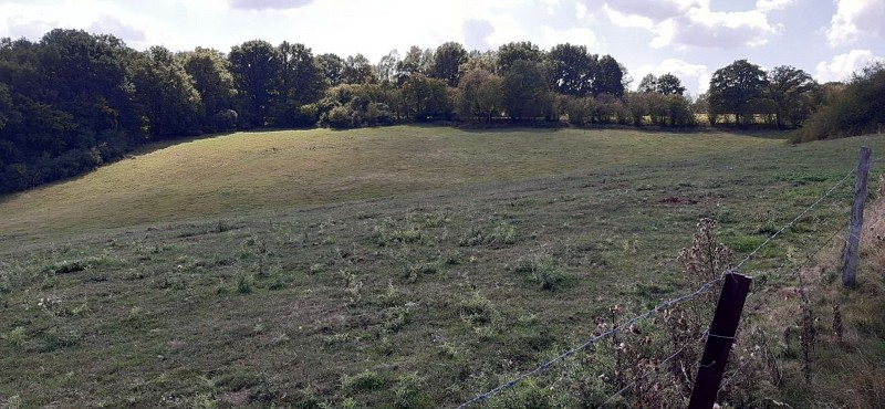 118815413_3722416611116582_1450886059549825822_n